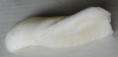 /products/angulus-incarnatus-linnaeus-1758/
